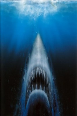 Jaws, Maui - Maui Jaws Wave - 2048x1152 Wallpaper - teahub.io