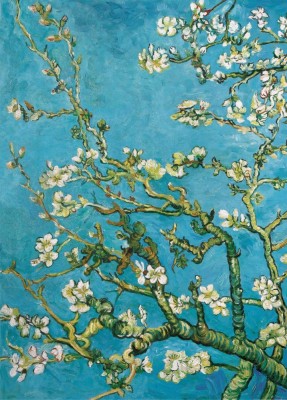 Van Gogh Almendro En Flor 1000x694 Wallpaper Teahub Io