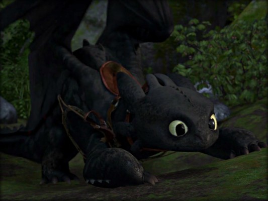 Toothless Dragon Funny Face - 1024x640 Wallpaper - teahub.io