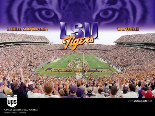 Lets Go Tigers Lsu - 800x600 Wallpaper - teahub.io