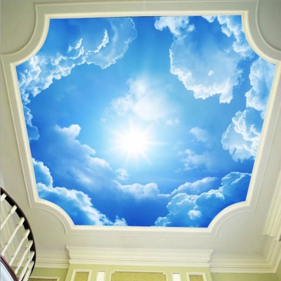 Sky Ceiling Mural - 1080x1196 Wallpaper - teahub.io