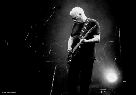 Pink Floyd Wallpaper - David Gilmour Wallpaper Hd - 1280x800 Wallpaper ...