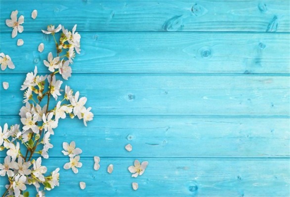 Blue Wood Plank Artistic Background Hd - 1152x784 Wallpaper - teahub.io