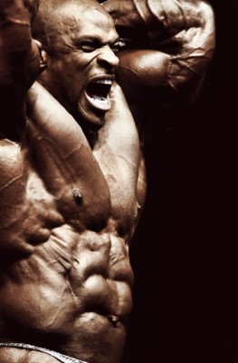 Download Bodybuilding Wallpapers and Backgrounds 