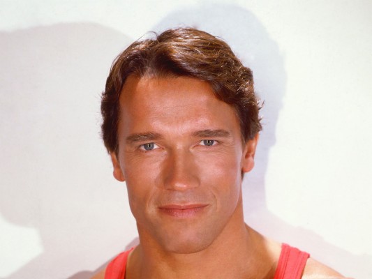 Arnold Schwarzenegger Wallpaper - Arnold Schwarzenegger Bodybuilding