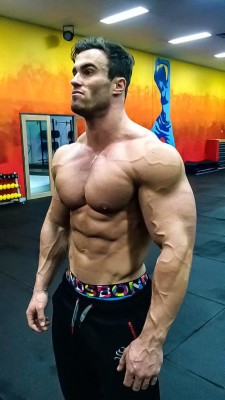 Calum Von Moger Gym - 576x1024 Wallpaper - teahub.io