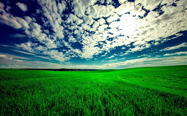 Photo Wallpaper Greens, Field, Summer, The Sky, Grass, - Grass Field With  Flowers And Trees - 1332x850 Wallpaper 