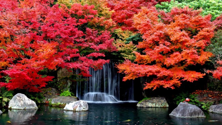 Fall Waterfall Desktop Backgrounds - 1920x1080 Wallpaper - teahub.io