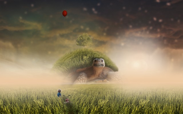 Wallpaper Turtle, Photoshop, Child, Bicycle, Field, - Background 4k For  Photoshop - 3840x2400 Wallpaper 