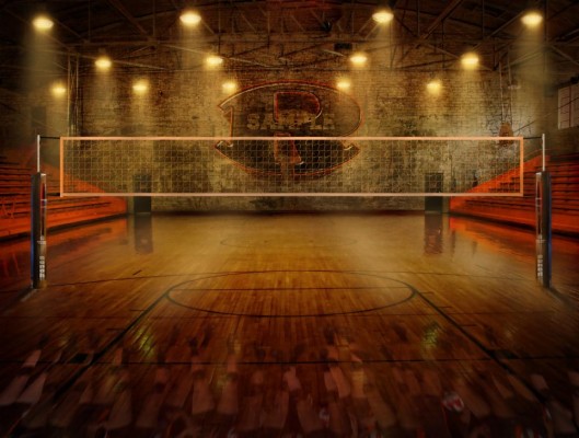 Volleyball Wallpapers For Your Phone - Neon Volleyball Background For  Websites - 1000x755 Wallpaper 