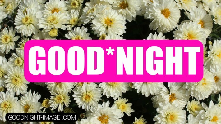 Download Good Night Download Wallpapers and Backgrounds Download Good Night Download Wallpapers and Backgrounds