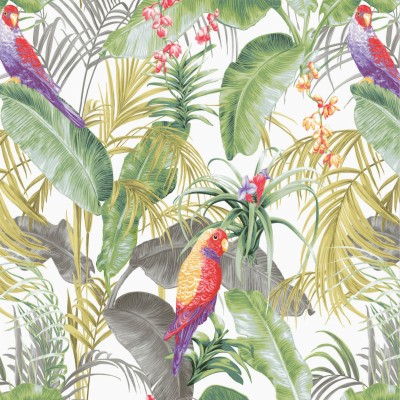 Tropical Art Wall Papaer - 800x800 Wallpaper - teahub.io