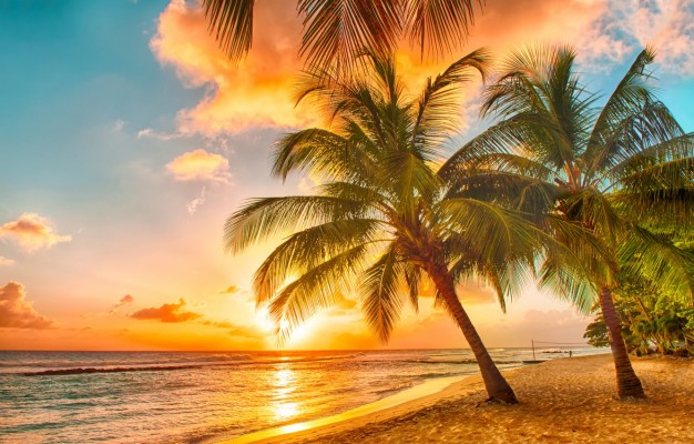 Tropical Beach 5k 4k Wallpaper Paradise Sunset Paradise Beach Sunset 640x1138 Wallpaper Teahub Io