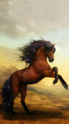 7 Horse Wallpaper Hd For Mobile - 1280x894 Wallpaper - teahub.io