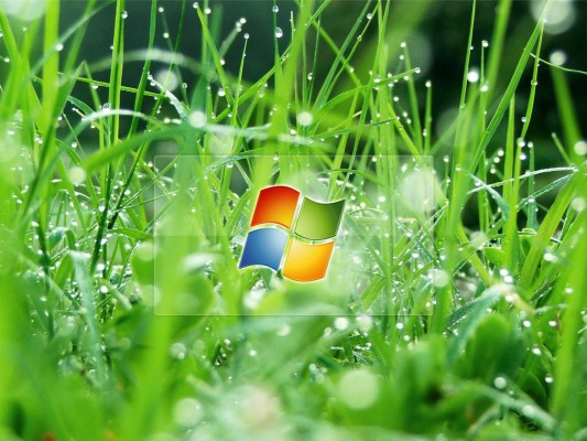 Windows Vista 3d Wallpaper Download For Desktop 1280x1024 Wallpaper Teahub Io