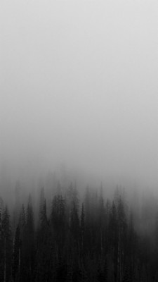 Fog Wallpapers Hd - 1440x900 Wallpaper - teahub.io