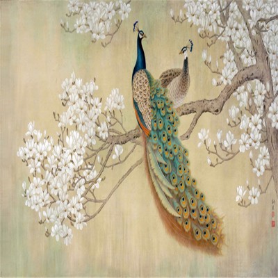 Chinese Peacock - 800x800 Wallpaper - teahub.io