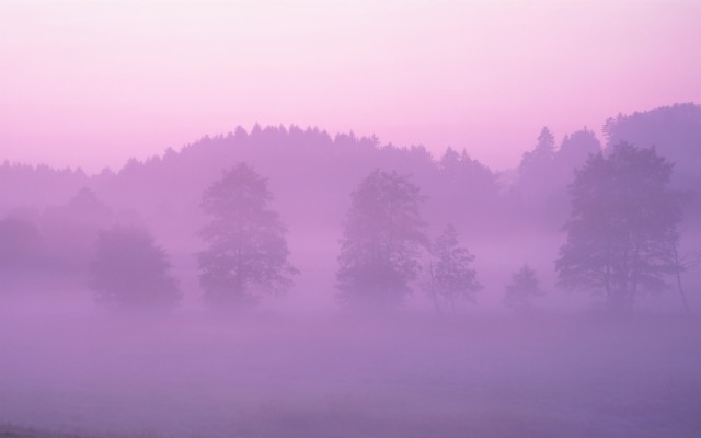 Apple 壁纸 1280x800 Wallpaper Teahub Io Apple 壁纸 1280x800 Wallpaper Teahub Io