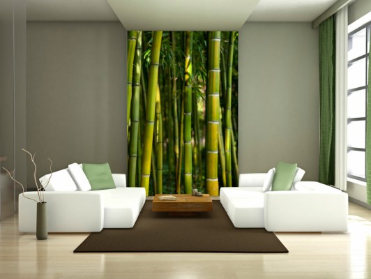 Wall Bamboo Mural - 1000x724 Wallpaper - teahub.io