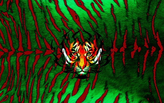 Flag Of Bangladesh Wallpapers Hd Wallpaper Bangladesh Flag 1280x720 Wallpaper Teahub Io