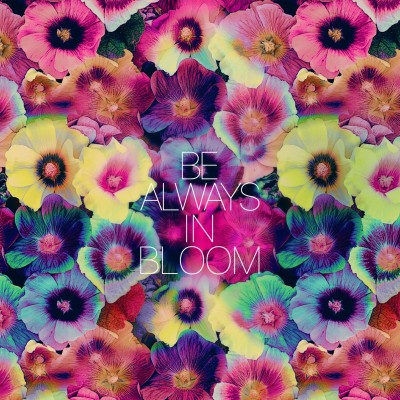 Always Bloom Quotes - 2560x2560 Wallpaper - teahub.io