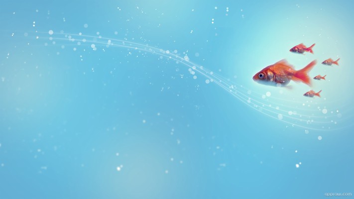 Background With Fish And Water - 1422x800 Wallpaper 