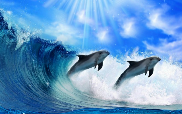 doraemon wii game dolphin