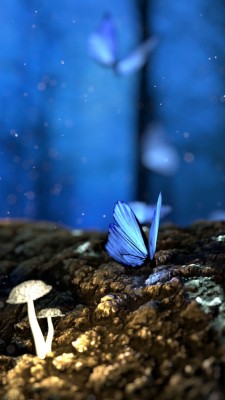 Butterfly Iphone 6s Plus Wallpaper - Blue Iphone Butterfly Wallpaper Hd -  1080x1920 Wallpaper 