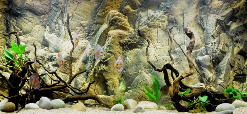 25 Aquarium Backgrounds, Wallpapers, Images, Pictures - Background Aquarium  Hd 3d - 4977x2289 Wallpaper 
