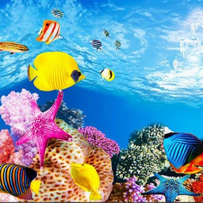 Aquarium Backgrounds Pictures - Windows Xp Fish Screensaver - 1024x768 ...