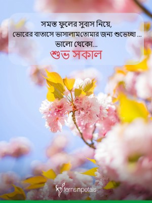 Good Morning Friend In Bengali - 864x576 Wallpaper 