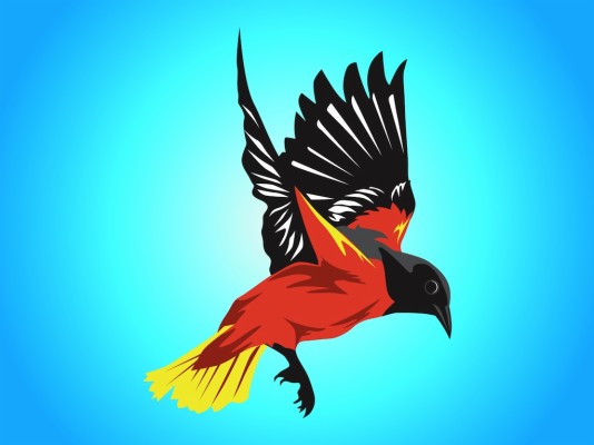 Flying Oriole - 1024x766 Wallpaper - teahub.io