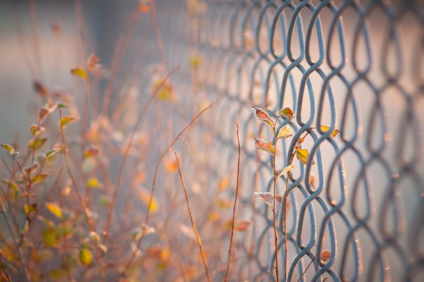 Wallpaper Grid, Fence, Blur - Background Images Hd Download - 1920x1200  Wallpaper 