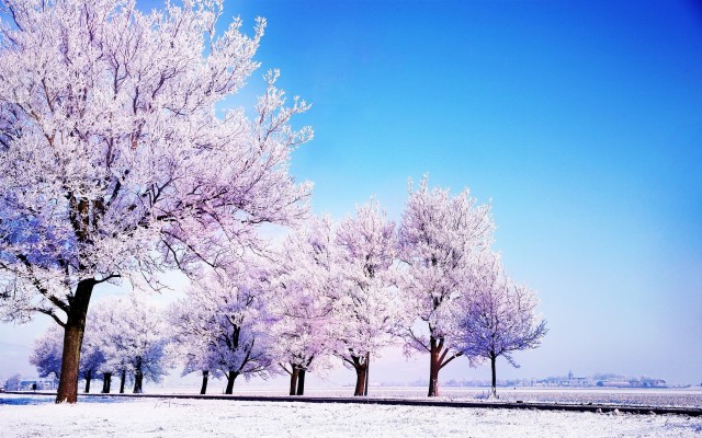 Winter Mac Wallpaper x1800 Wallpaper Teahub Io