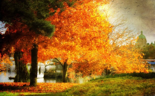 Wide Video Graphics Array 2880x1800 Wallpaper teahub.io