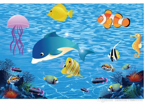 Fish Wallpaper On Wall - 800x800 Wallpaper - teahub.io