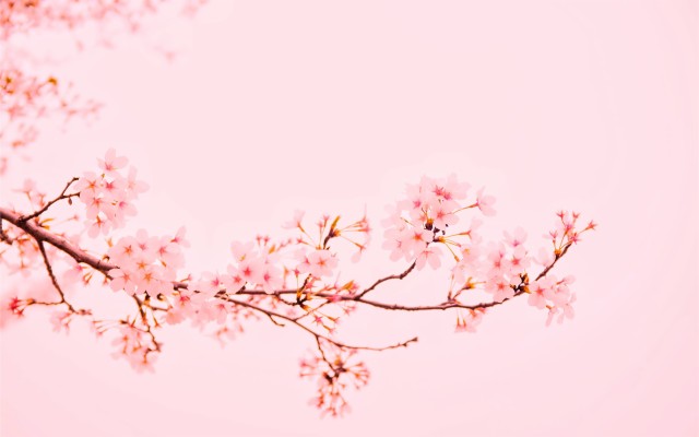 Featured image of post The Best 9 Pastel Pink Desktop Wallpaper Hd