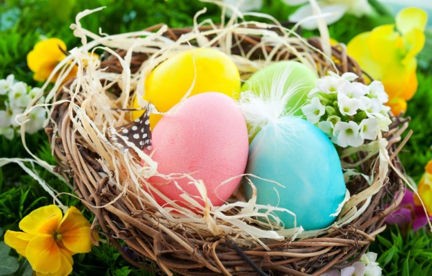 Photo Wallpaper Eggs, Easter, Pink Background, Wood, - Pastel Colors 