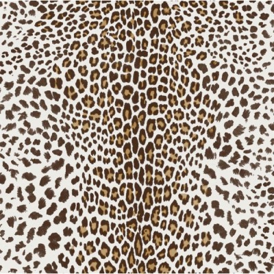 Grey And White Leopard Print - 1000x1000 Wallpaper - teahub.io