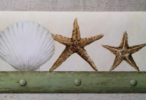 Seashell Border - 1500x1026 Wallpaper 