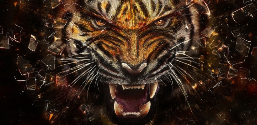 Live Wallpaper - Black Tiger Background Hd - 1920x1080 Wallpaper