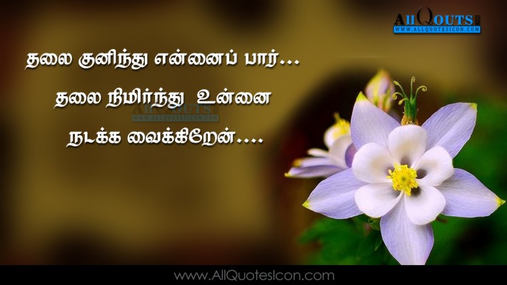 quran-quotes-in-tamil-pictures-best-islamic-sayings-quran-quotes-in