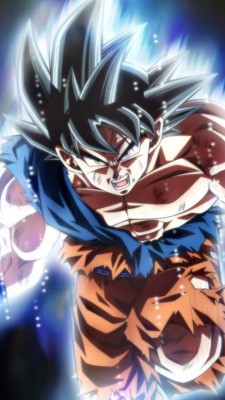 Full Hd Wallpapers Dragon Ball Super - 900x1600 Wallpaper - teahub.io