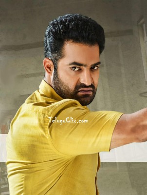 Junior Best Hd Pictures & Wallpapers Free Background - Jr Ntr Images  Download - 1528x997 Wallpaper 