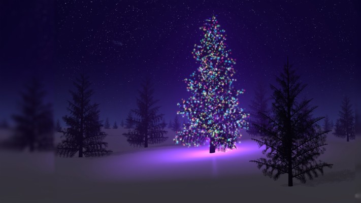 Christmas Tree At Night - 1920x1080 Wallpaper - teahub.io