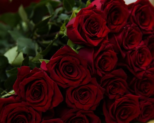 Beautiful, Flowers, Red Roses, Wallpaper - Full Screen Red Rose ...