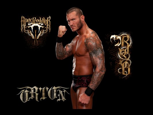 Randy Orton Wwe World Heavyweight Champion - 1920x1200 Wallpaper 