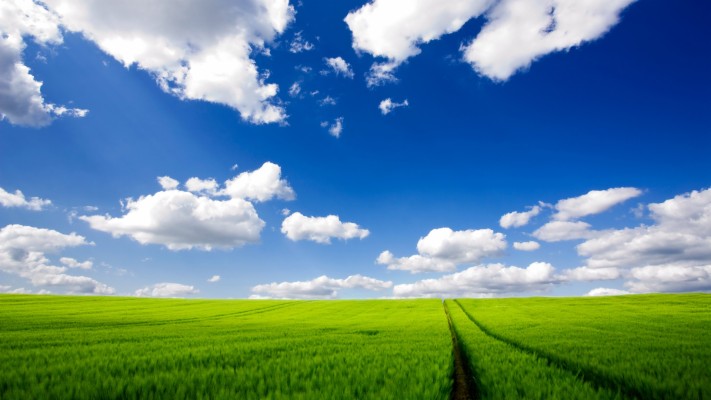 Windows Xp Hd Wallpapers 1080p - 1920x1080 Wallpaper - teahub.io