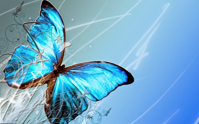 Butterfly Wallpaper - Blue Butterfly Background Design - 1440x900 ...