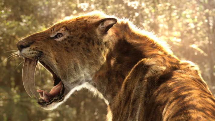 Saber Tooth Tiger Wallpaper Hd - 3840x2400 Wallpaper - teahub.io